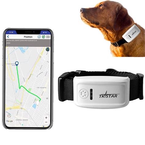 top rated dog tracking devices